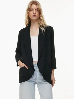 Aritzia Wilfred Chevalier Blazer